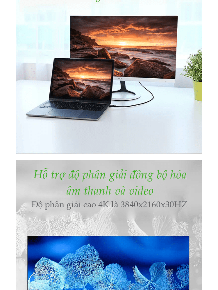 Cáp chuyển đổi Type C sang DisplayPort UGREEN MM139 - 4k 3840x2160x30Hz 19 Cáp chuyển đổi Type C sang DisplayPort UGREEN MM139 - 4k 3840x2160x30Hz